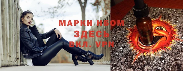 Альфа ПВП Бородино